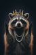 Raccoon — Crooked Crown Retry
